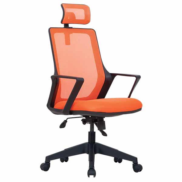 casellalibraphp-171272 (1)