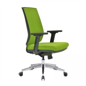 regal-koltukk-174288
